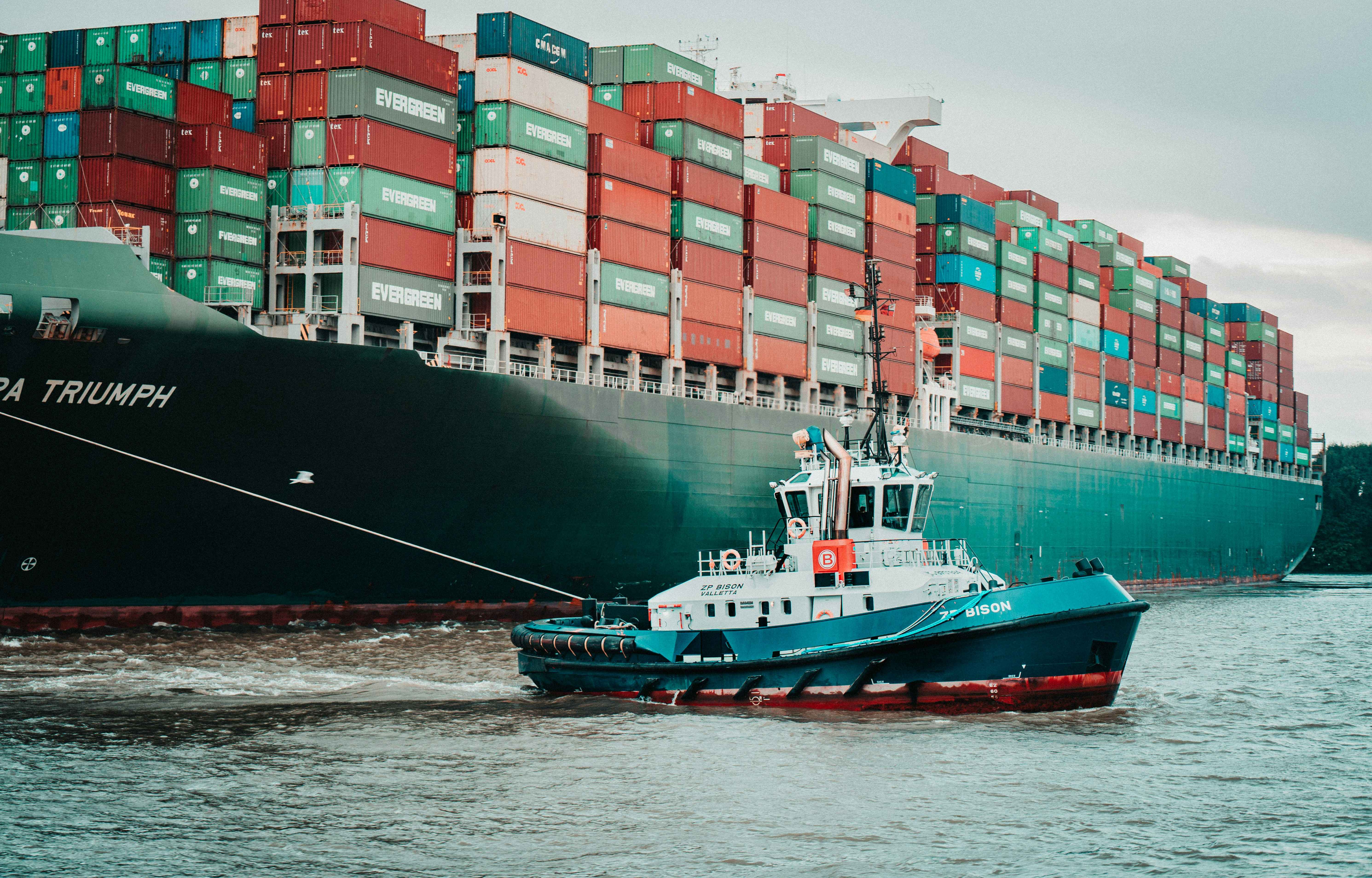 Import & Export